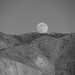 Brian Moon Photo 40