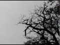 William Olmsted Photo 21