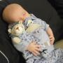 Susan Haller Photo 21