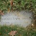 Anne Thayer Photo 20