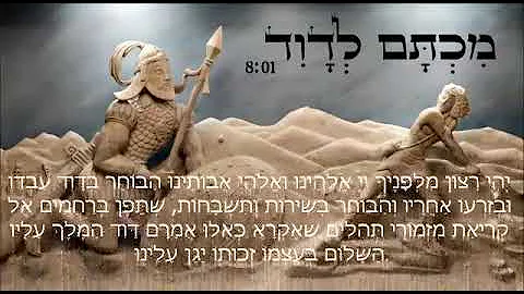 David Aminov Photo 20