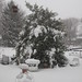Holly Robbins Photo 39