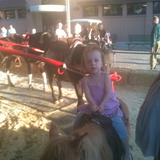 Terri Bradshaw Photo 9