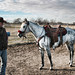Jody Carlson Photo 37