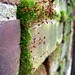 Don Moss Photo 39