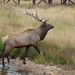 Brenda Estes Photo 35