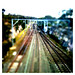 Michael Comins Photo 18