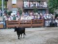 Jose Monteagudo Photo 17