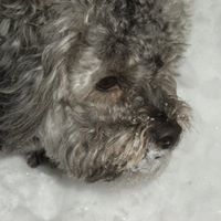Patty Hooper Photo 6