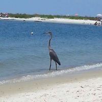 Pamela Childers Photo 7
