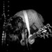 Scott Hagstrom Photo 14