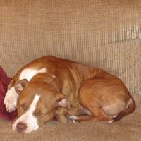 Carrie Gilliam Photo 3