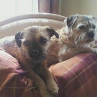 Tracy Lawless Photo 8