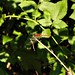 Christopher Heide Photo 21