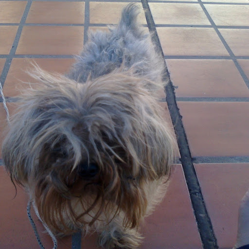 Miriam Benitez Photo 9