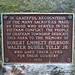 Emmett Green Photo 36