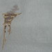 Theresa Cross Photo 35