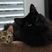 Connie Brown Photo 23