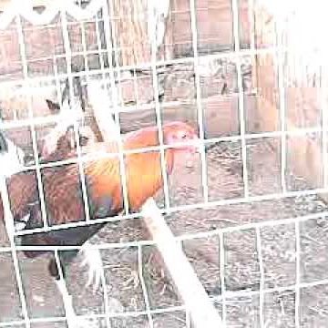 Edgardo Valdez Photo 9