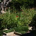 Christopher Seidel Photo 36