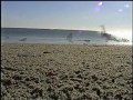 Windy Hampton Photo 7