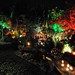 Julie Cashmore Photo 28