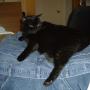 Jack Sisco Photo 13
