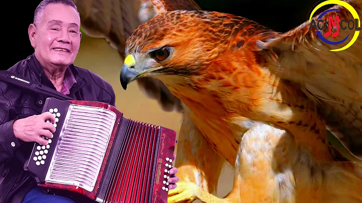Ignacio Mercado Photo 33
