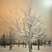 Glenn Silver Photo 27