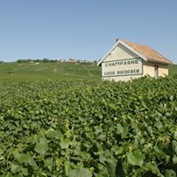 Louis Roederer Photo 2