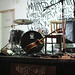 Julie Lavelle Photo 27