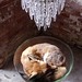 Polly Fox Photo 32