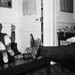 Edward Koch Photo 41