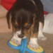 Fred Teeter Photo 16
