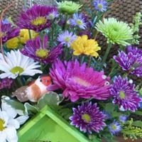 Joyce Stanley Photo 8