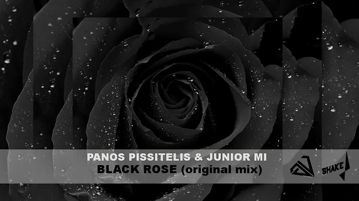 Rose Panos Photo 10