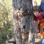 Craig Prather Photo 15