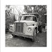 Joyce Elmore Photo 28