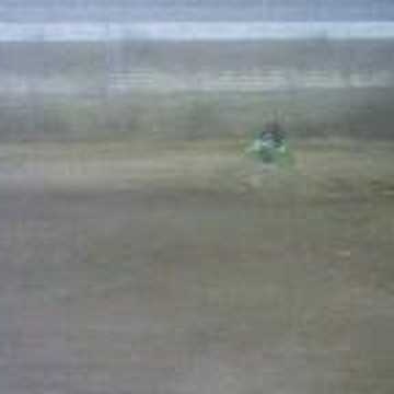 Aaron Griggs Photo 12