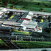 Albert Mo Photo 19