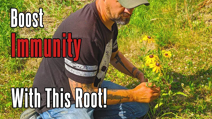 Susan Root Photo 30