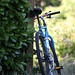 Robert Treuer Photo 10