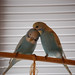 Jerry Toms Photo 23