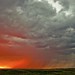 Larry Rains Photo 26