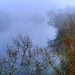 Misty Peace Photo 20