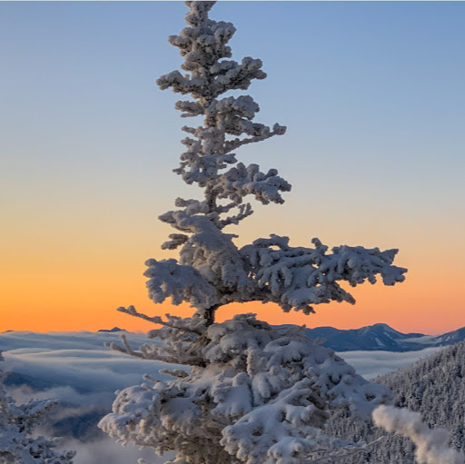 Don Demers Photo 9