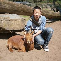 Wayne Yau Photo 1