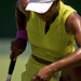 Serena Wilson Photo 40