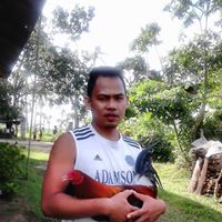 Arnel Perez Photo 4