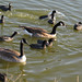 Judith Coots Photo 15